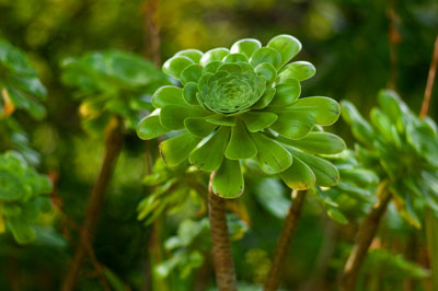 F.E.V. On aime la nature!