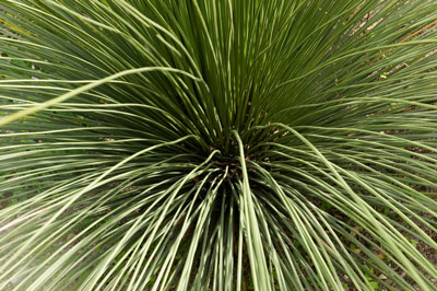 F.E.V. On aime la nature!