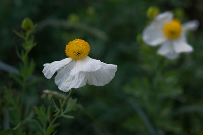 F.E.V. On aime la nature!